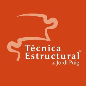 Repetición Módulo 2 Técnica Estructural